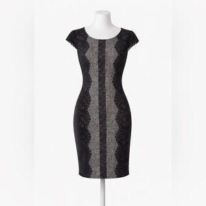 Betsey Johnson Lace Sheath Dress Size 6 Black Gray Slimming Cocktail  Career